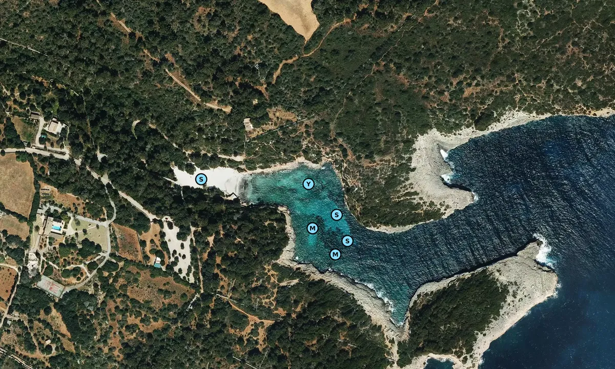 Satelite image of Cala Sa Nau