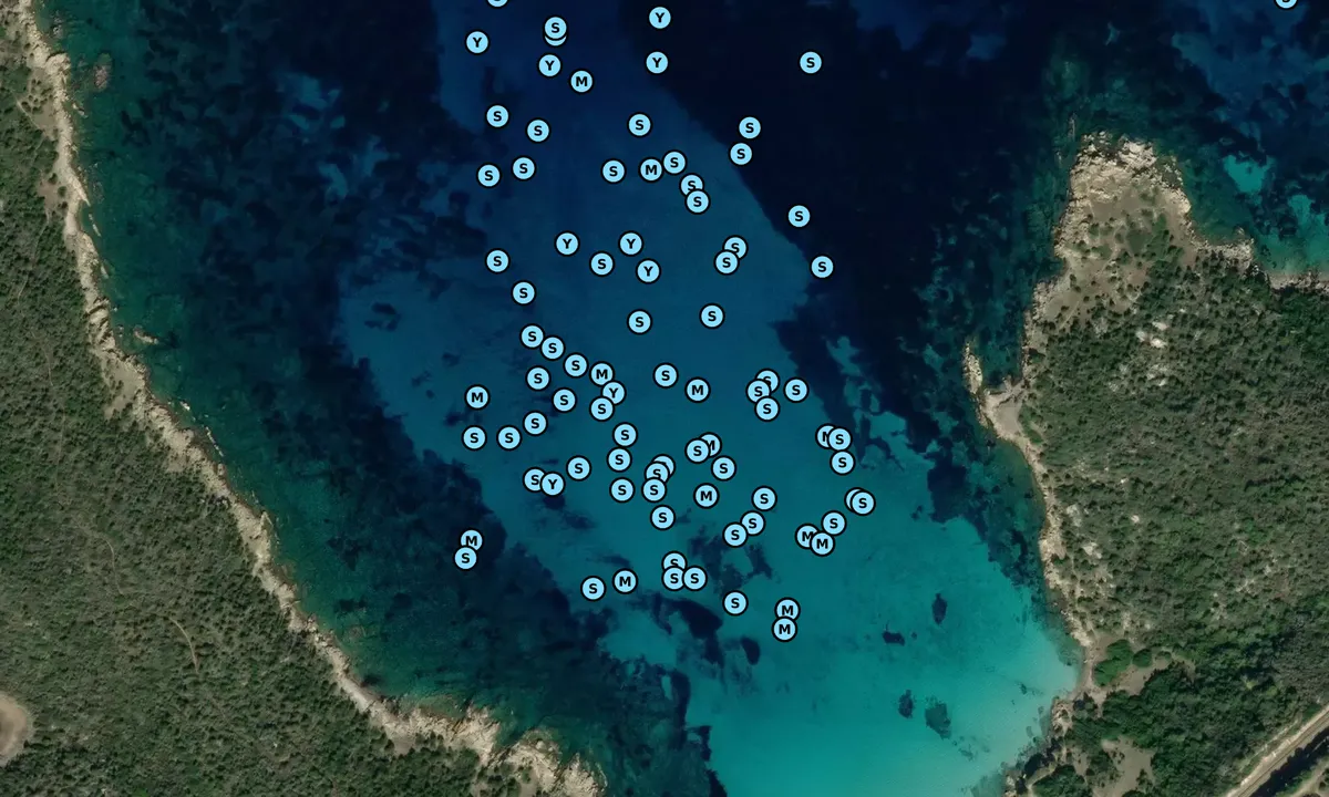 Satelite image of Cala Sabina 1