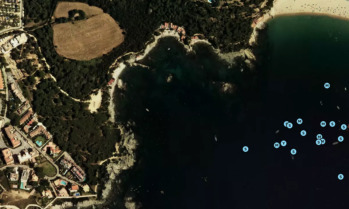 Satelite image of Cala s'Alguer