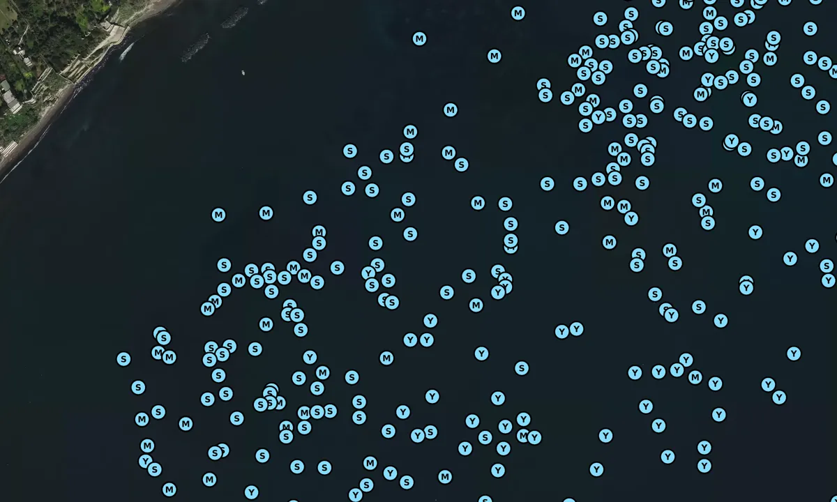Satelite image of Cala San Antonio