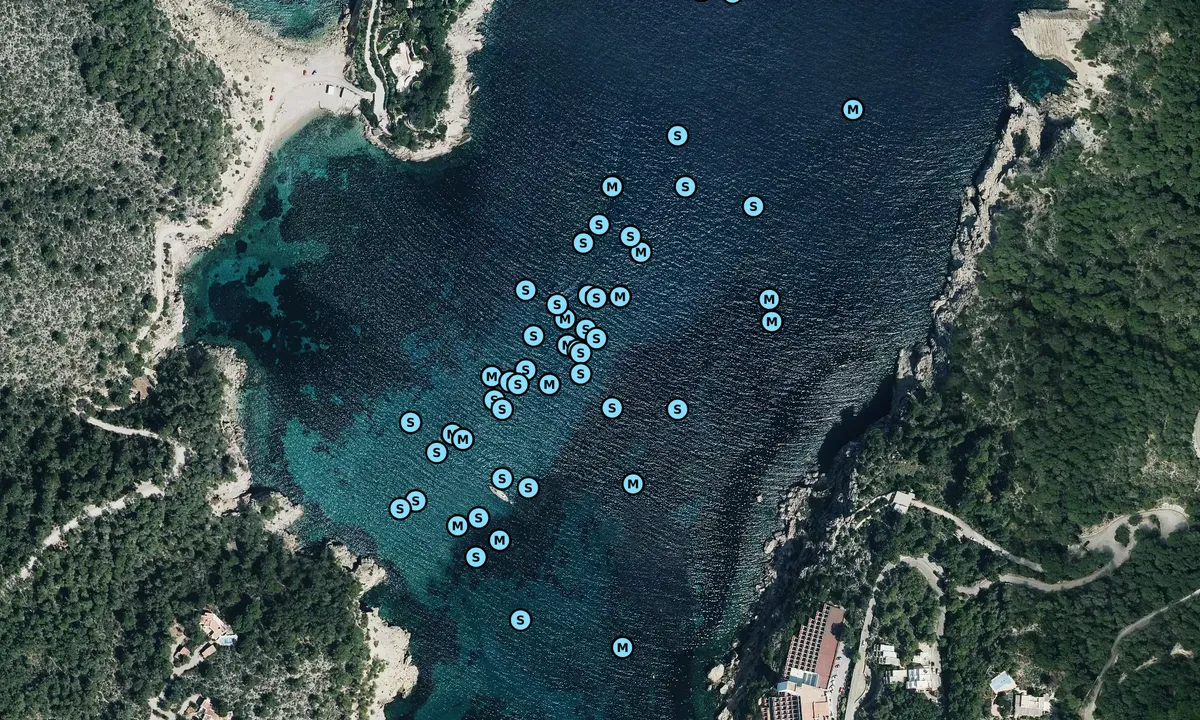 Satelite image of Cala Sant Miquel