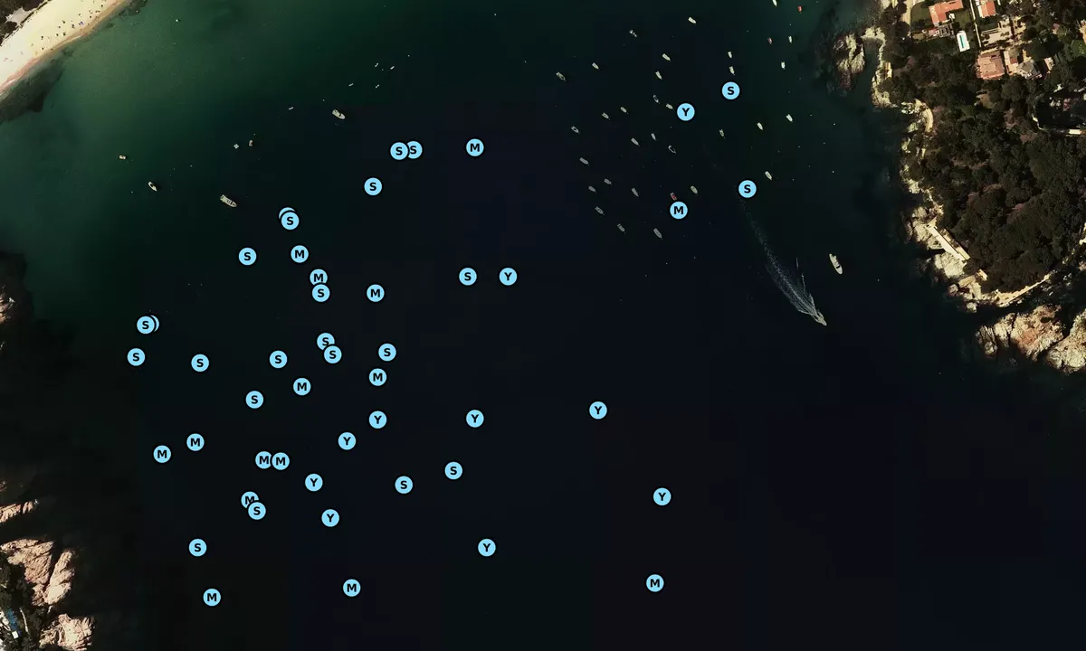 Satelite image of Cala Sant Pol