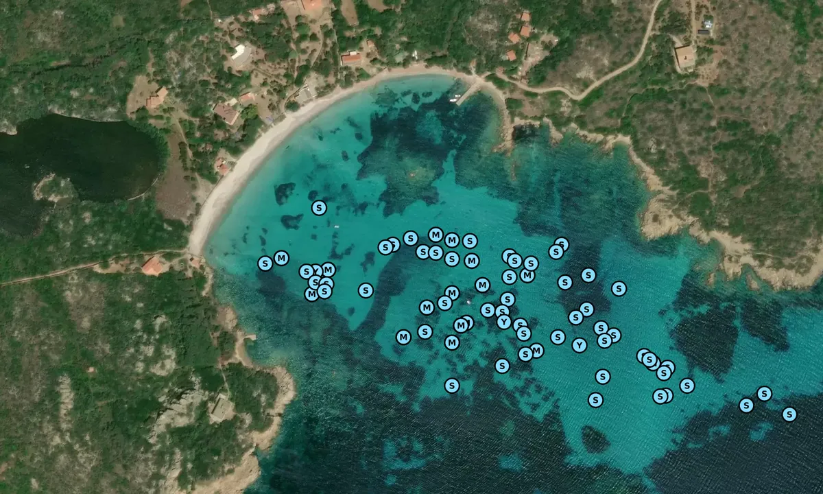 Satelite image of Cala Santa Maria