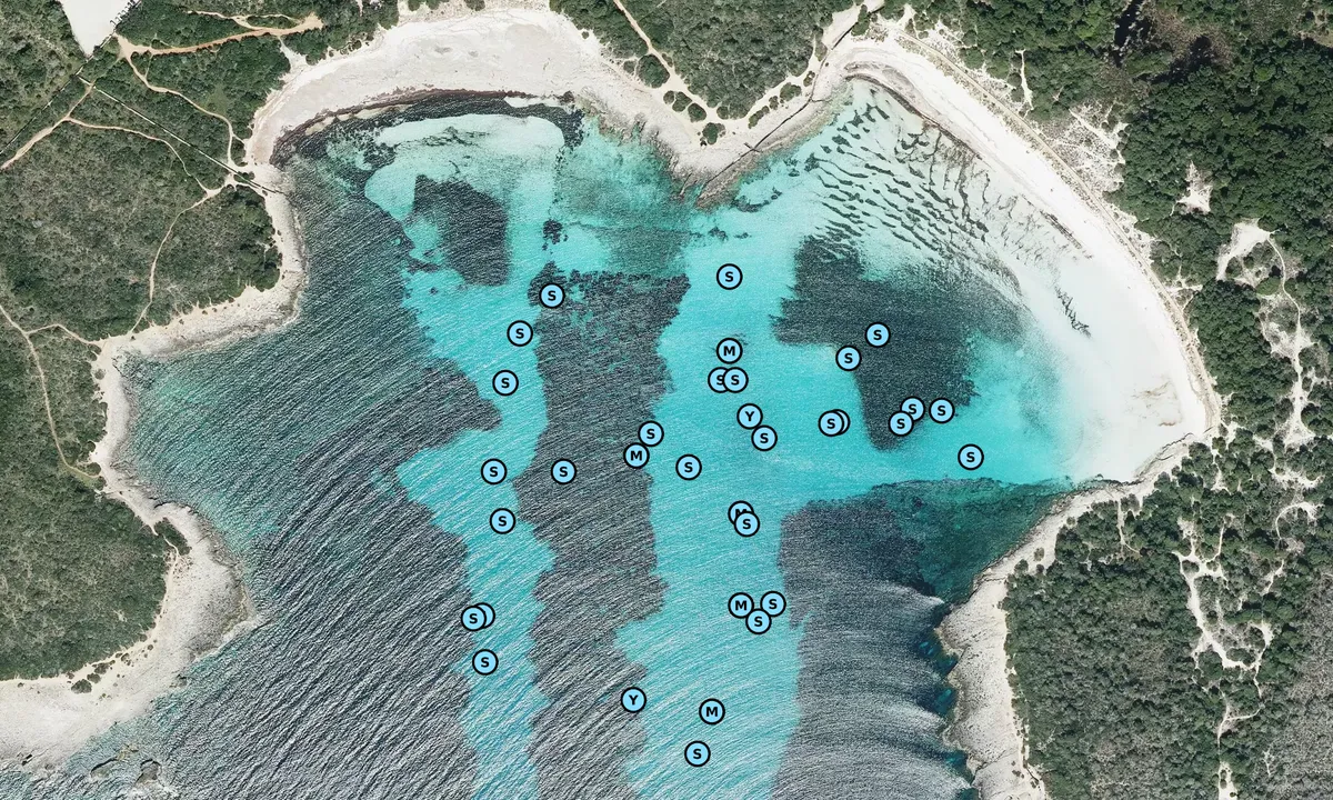 Satelite image of Cala Son Saura