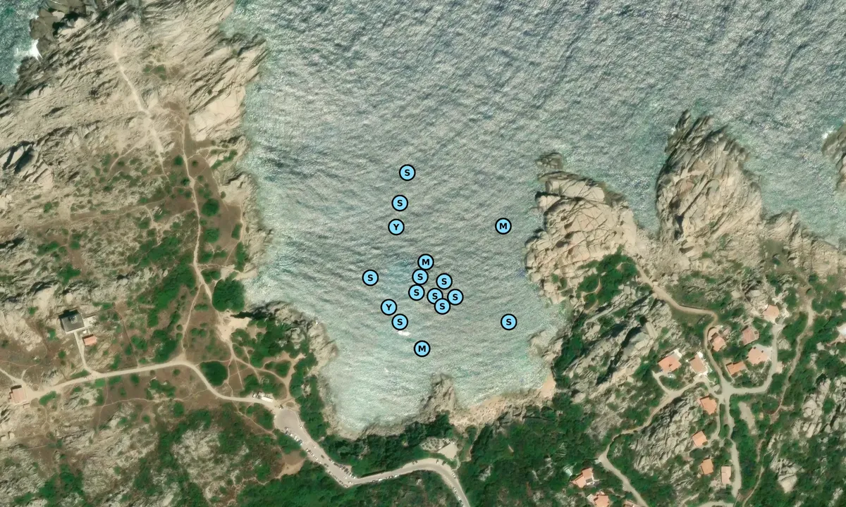 Satelite image of Cala Spinosa