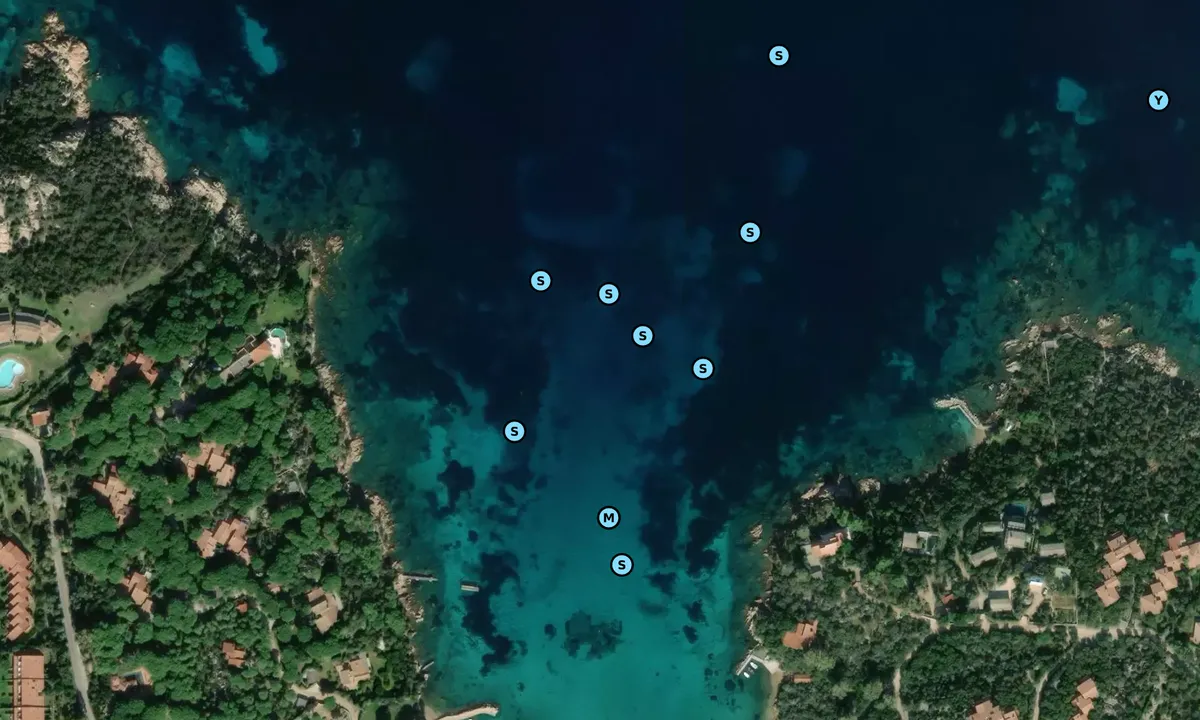 Satelite image of Cala Suaraccia