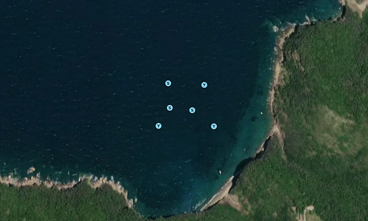 Satelite image of Cala Zupignano