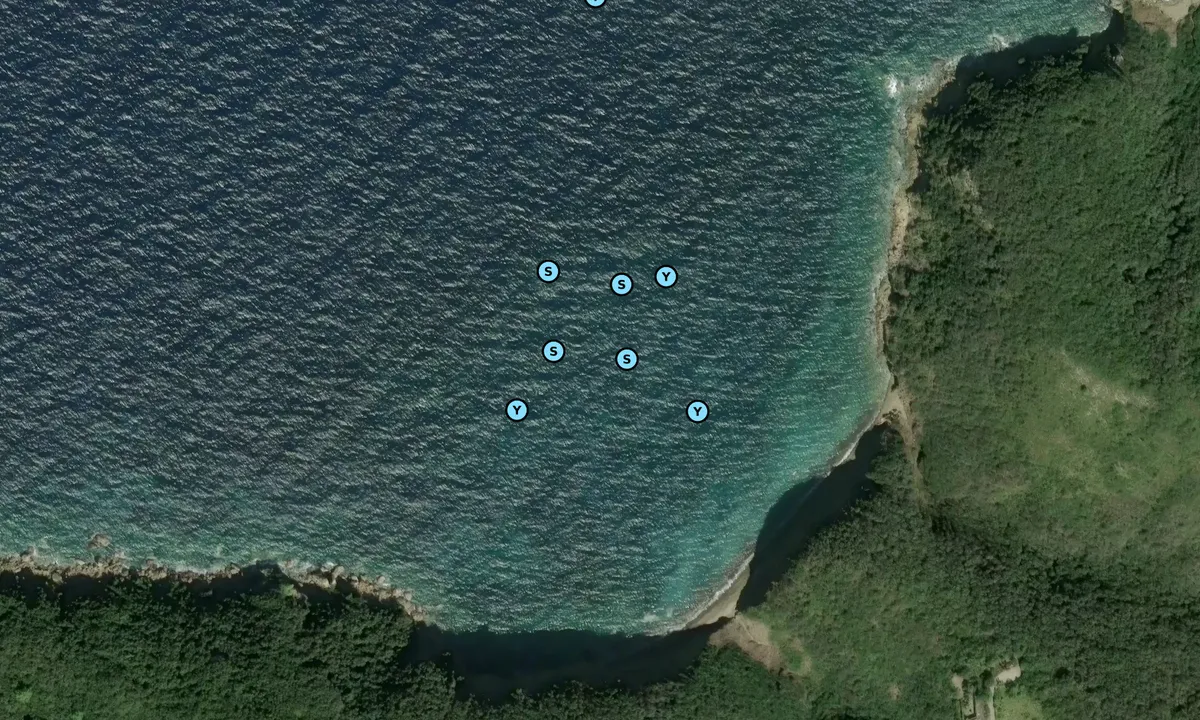 Satelite image of Cala Zupignano