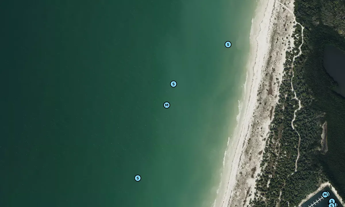Satelite image of Caladesi Island