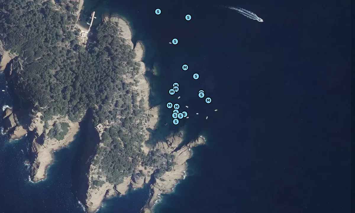 Satelite image of Calanque Seynerolles