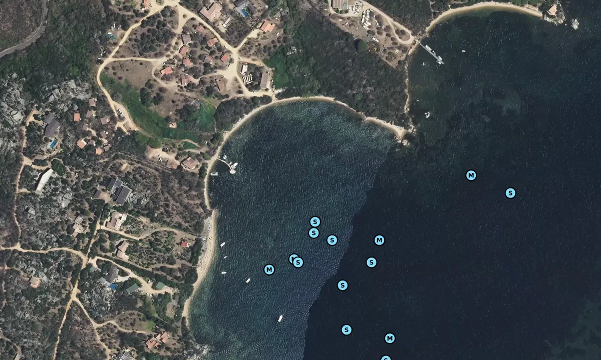 Satelite image of Caldarello Ribellino