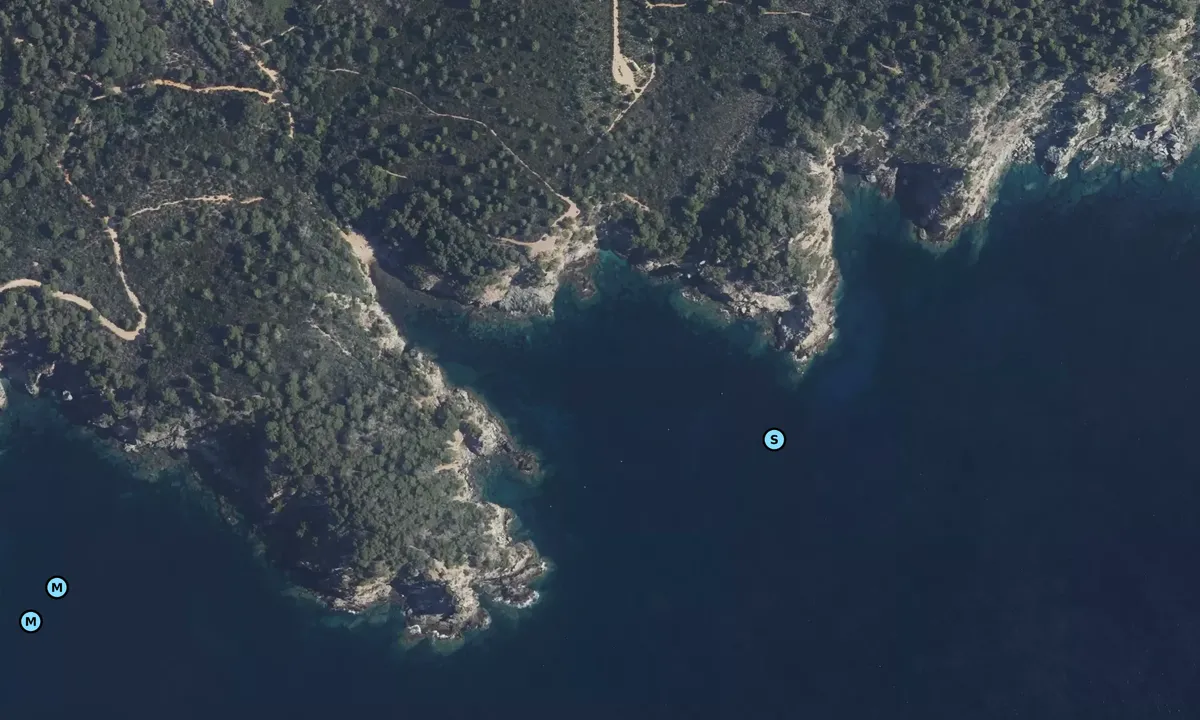 Satelite image of Cale Longue