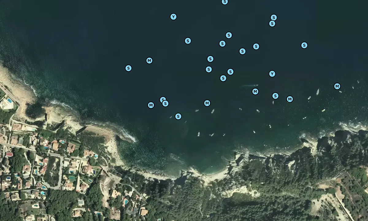 Satelite image of Caleta de Dins