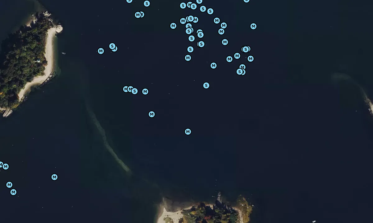 Satelite image of Calf Islands East