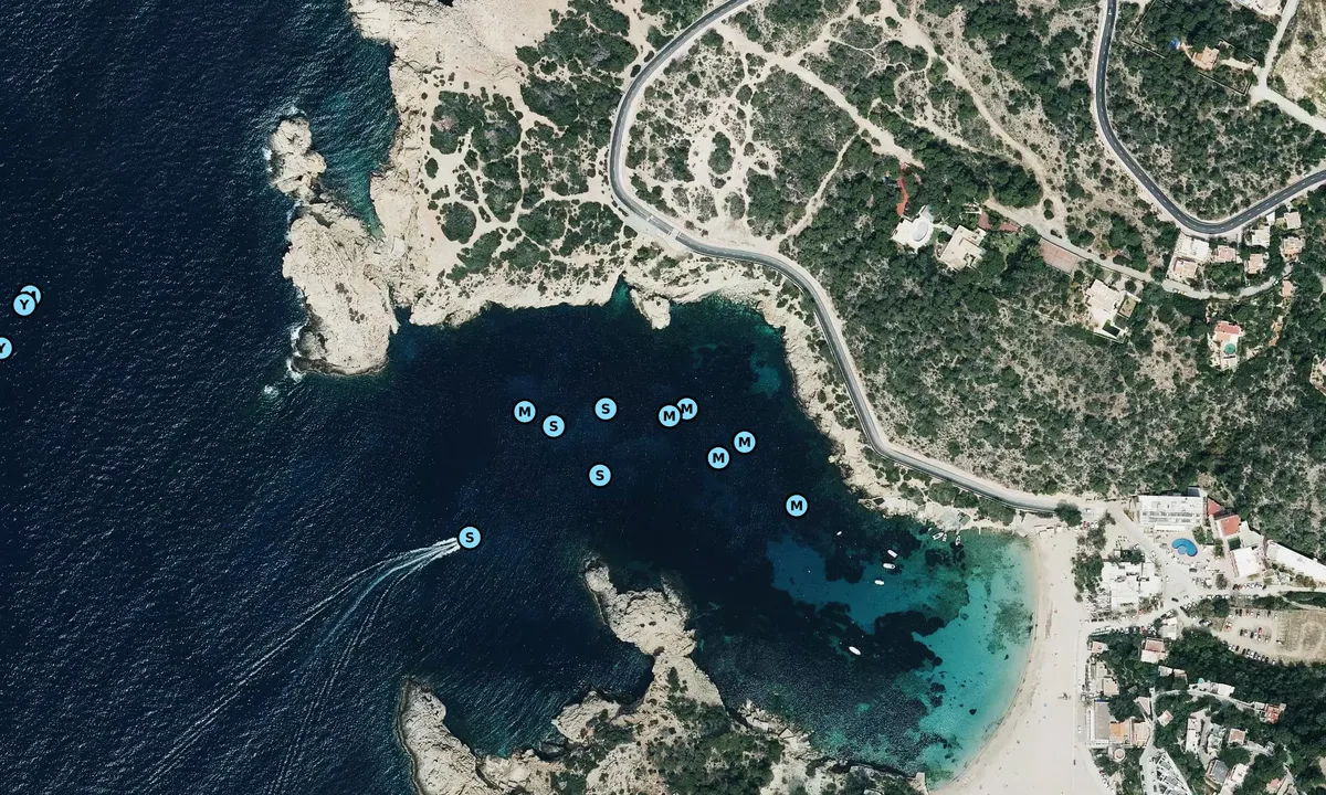 Satelite image of Calla Bodella (vadella)