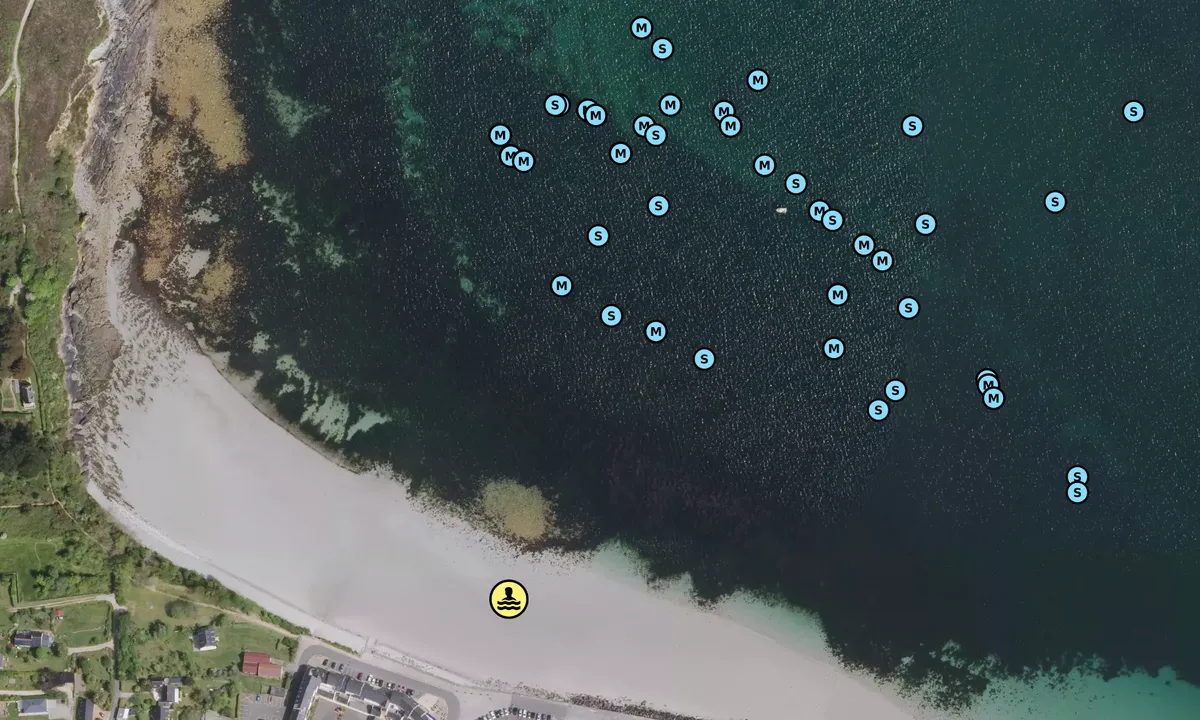 Satelite image of Camaret Cove