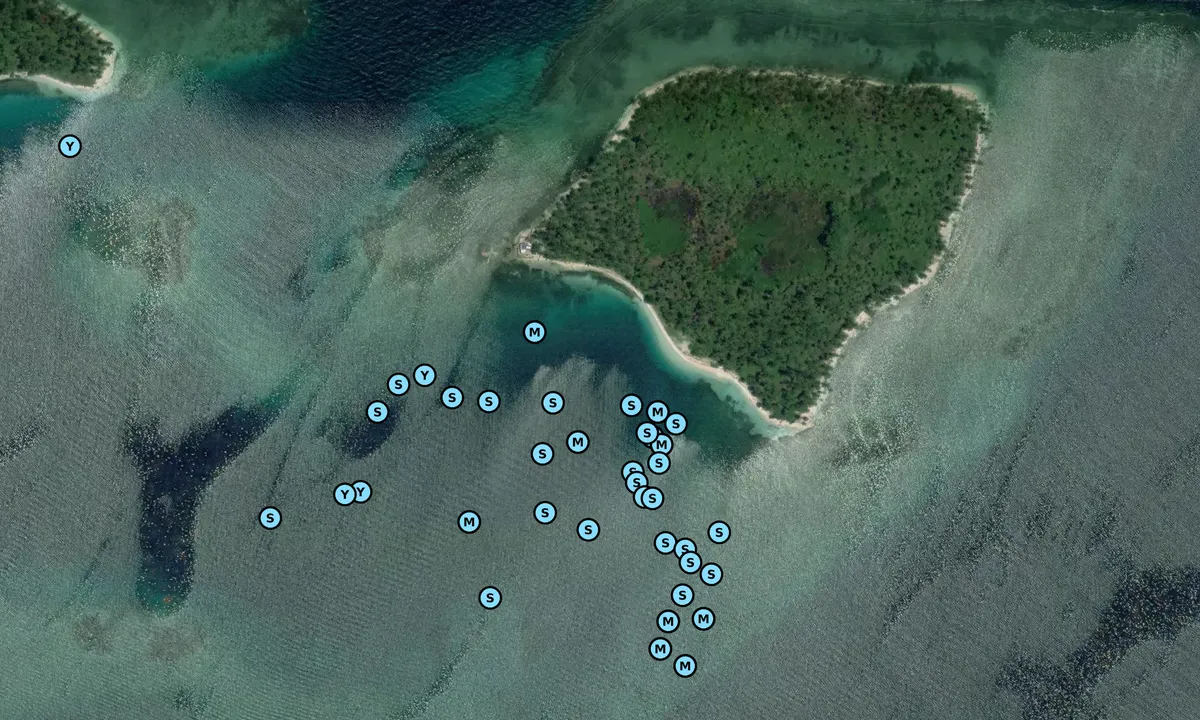 Satelite image of Cambombia