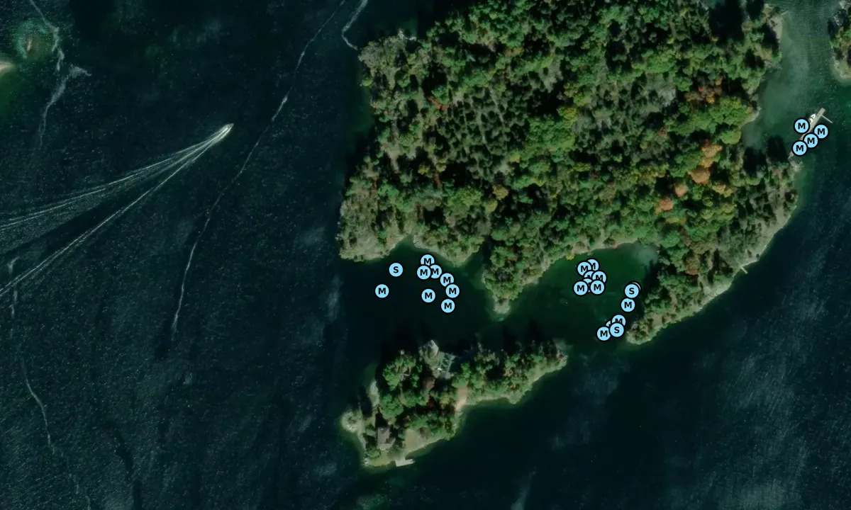 Satelite image of Camelot Island - SW
