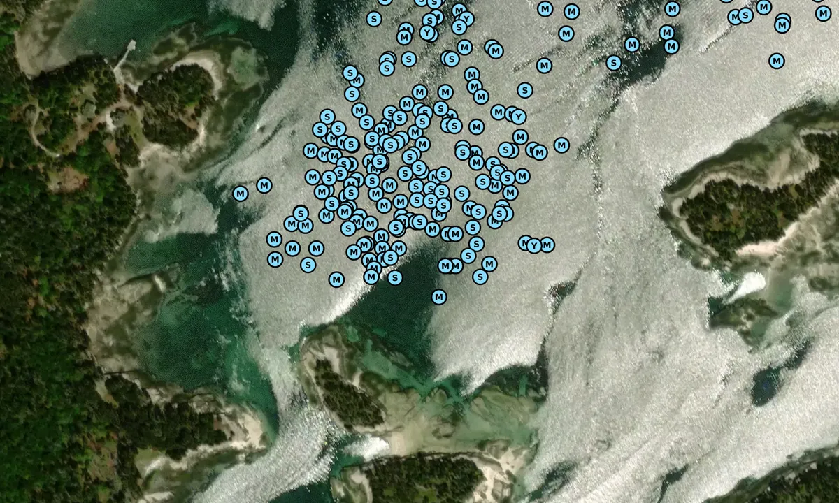 Satelite image of Camp Island