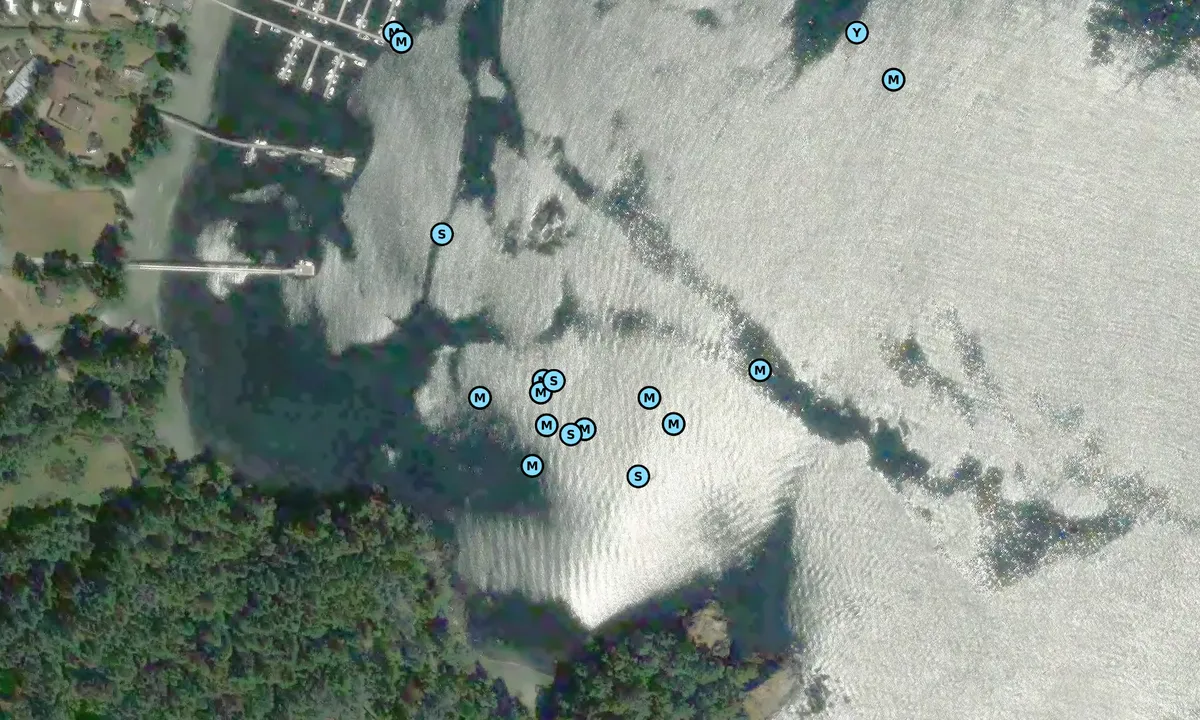 Satelite image of Campbell Cove
