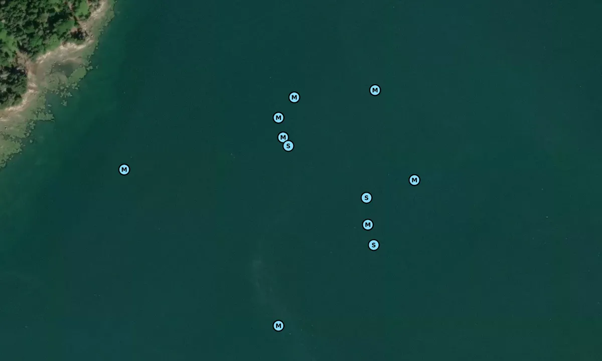 Satelite image of Campbell Island