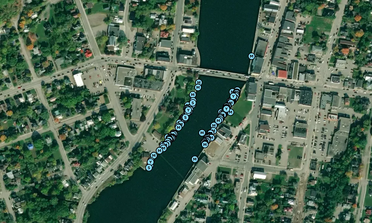 Satelite image of Campbellford Oak Mill Park Docks