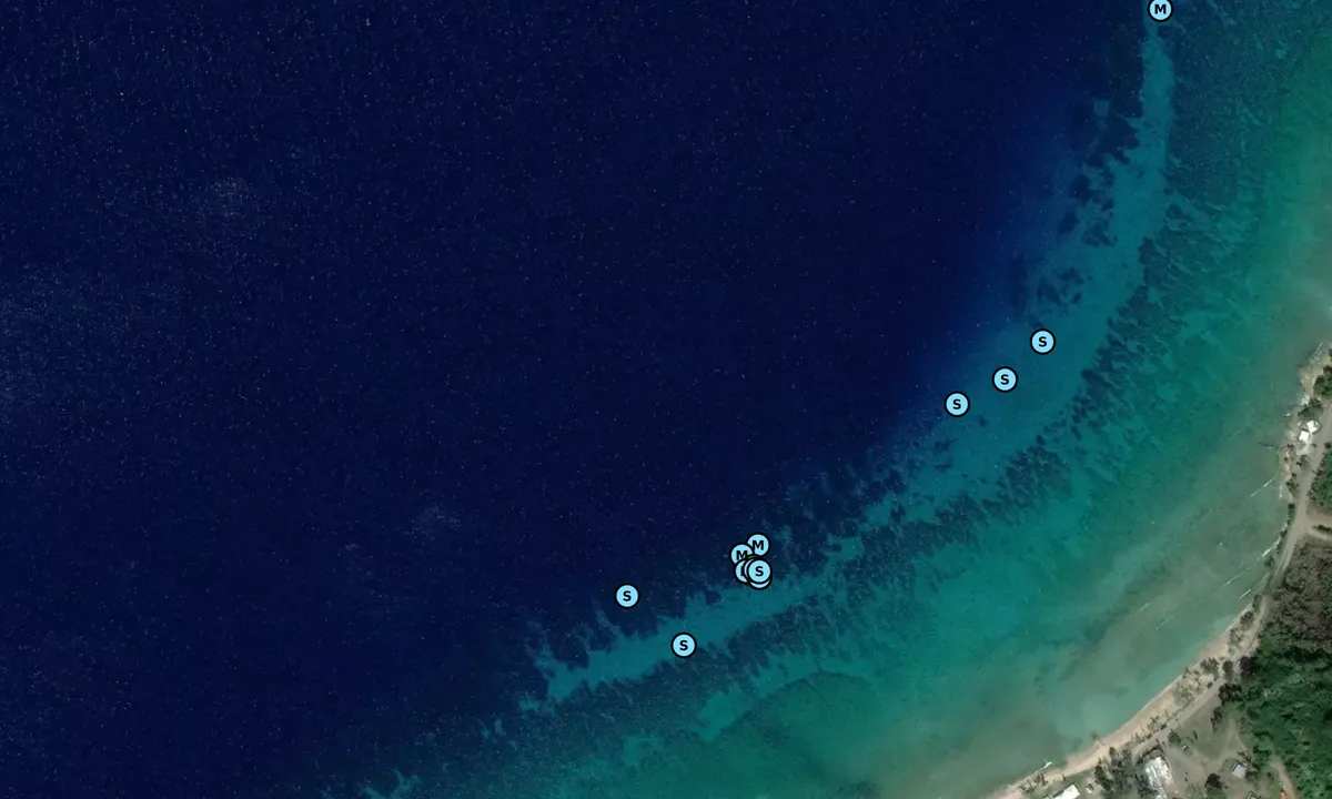 Satelite image of Cane Bay (moorings)