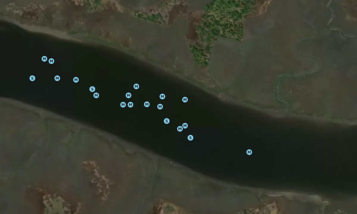 Satelite image of Cane Patch Creek