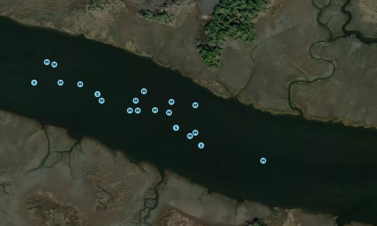 Satelite image of Cane Patch Creek