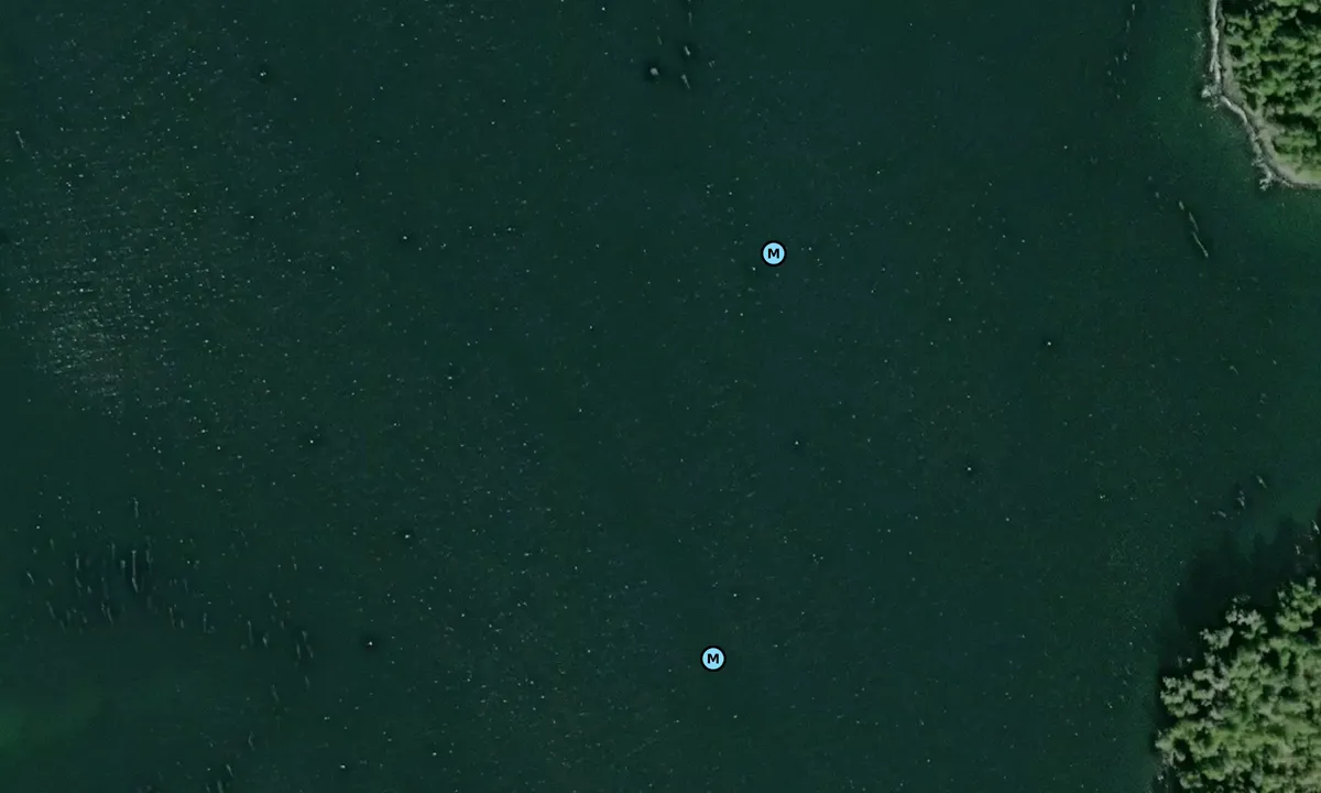 Satelite image of Canoe Cove 1