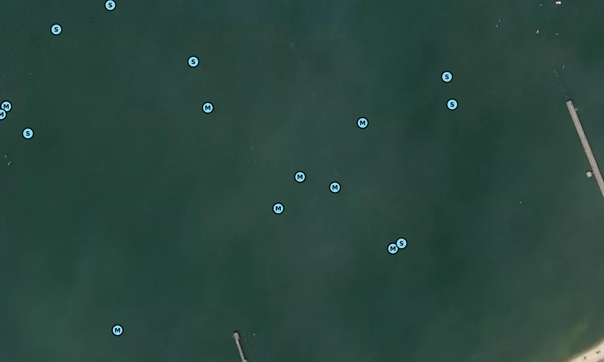 Satelite image of Cape Henlopen Beach