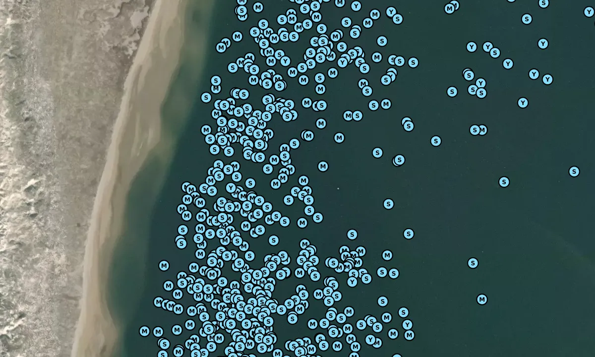 Satelite image of Cape Lookout Bight