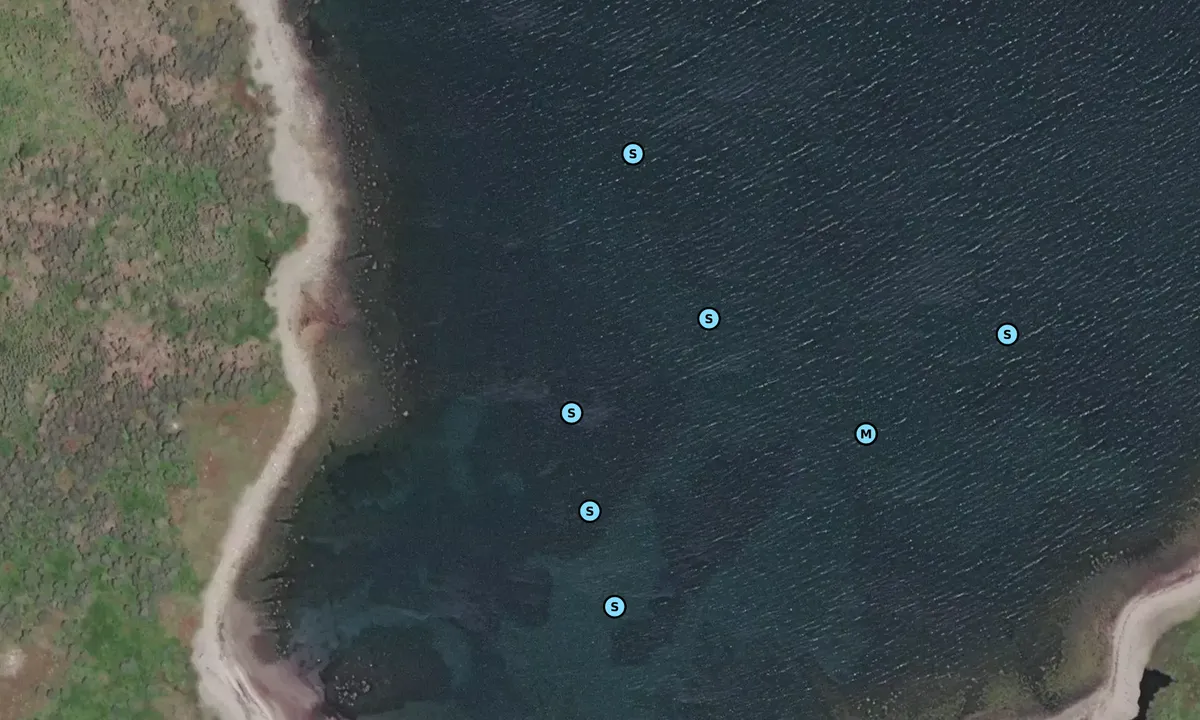 Satelite image of Cape Negro Island