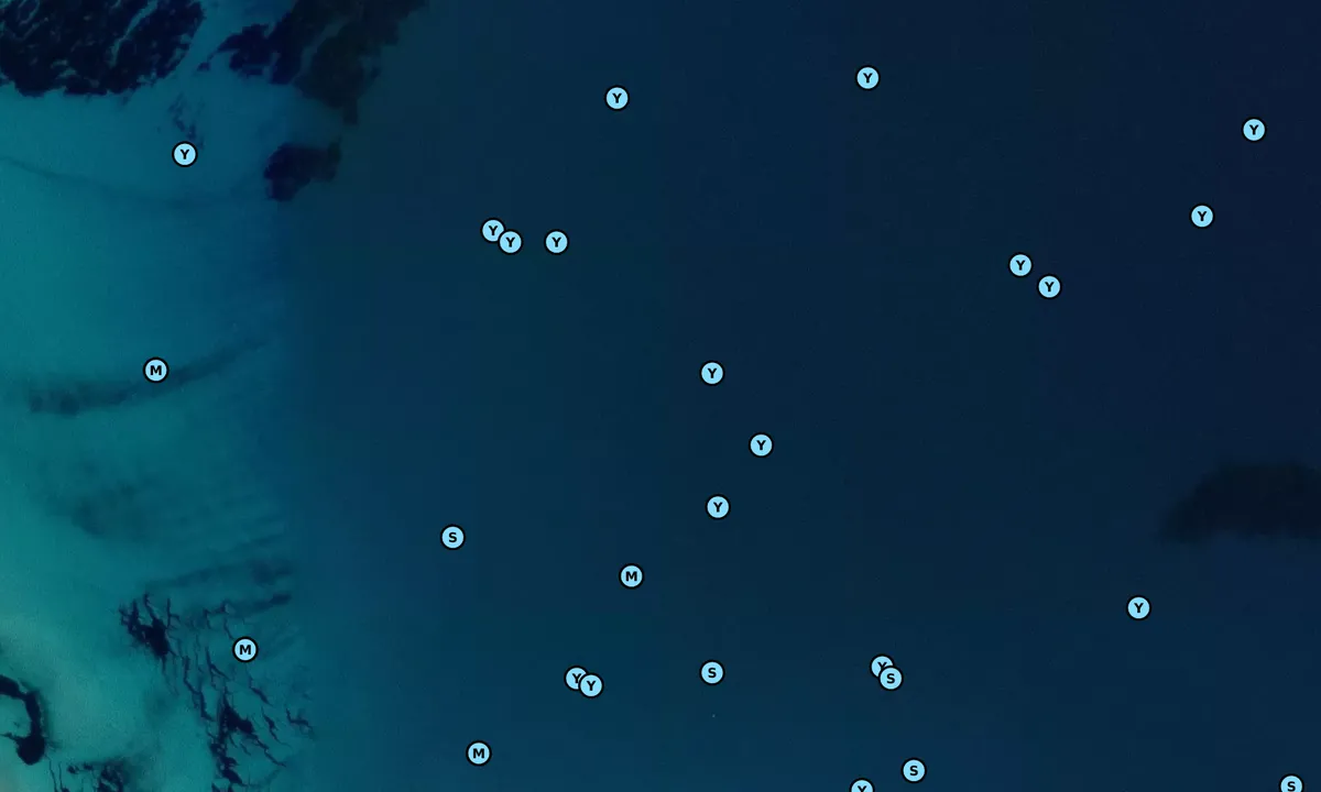Satelite image of Capo Comino