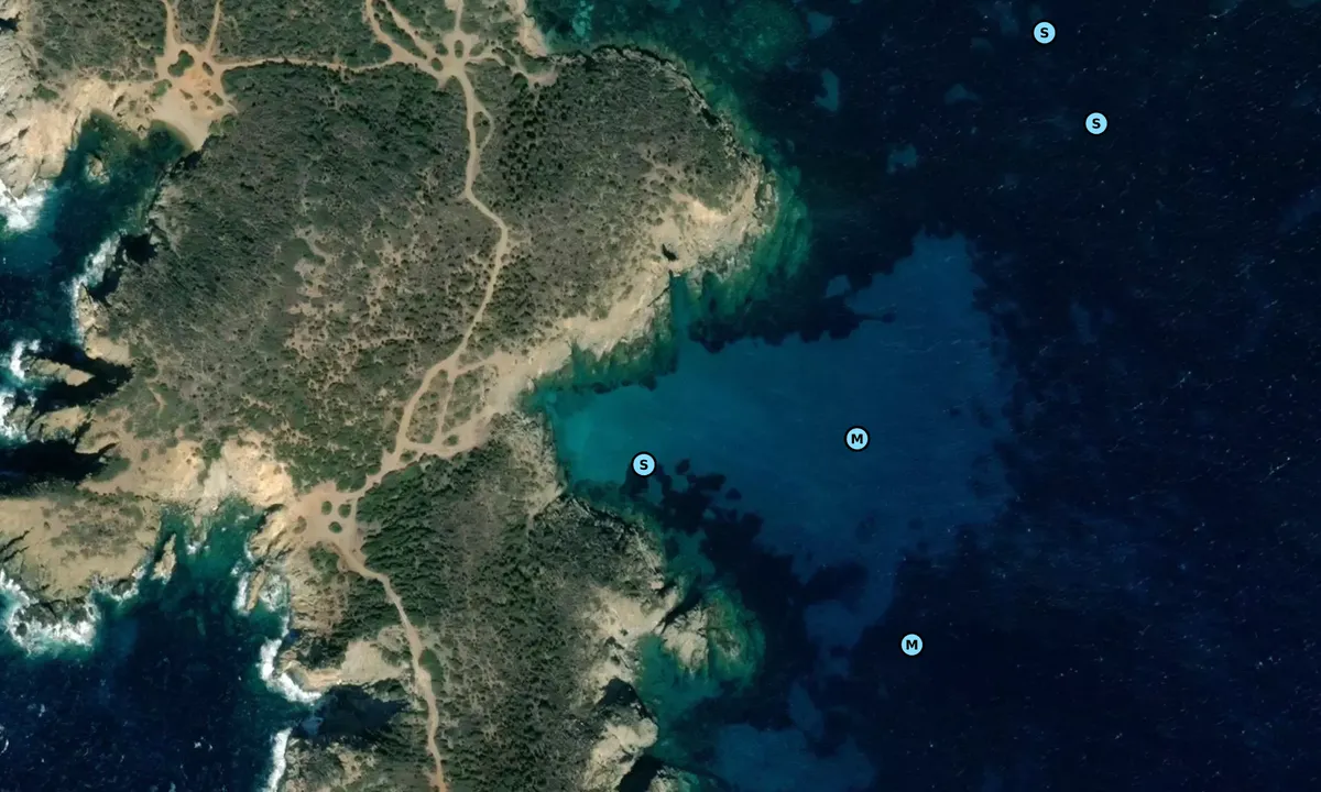 Satelite image of Capo Malfatano Est