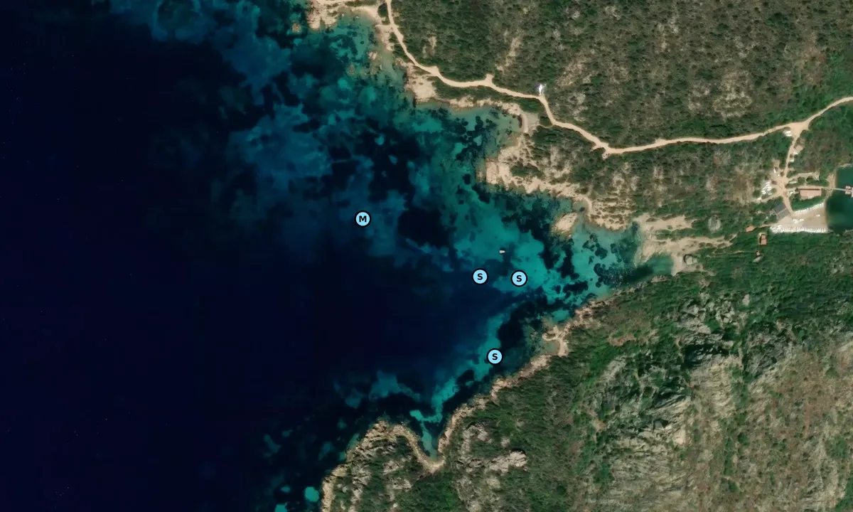 Satelite image of Caprera