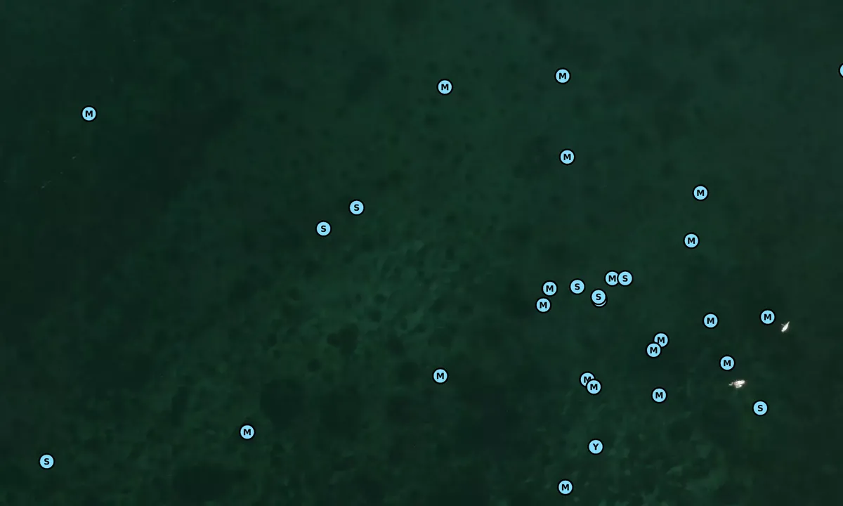 Satelite image of Caribbean Club Anchorage