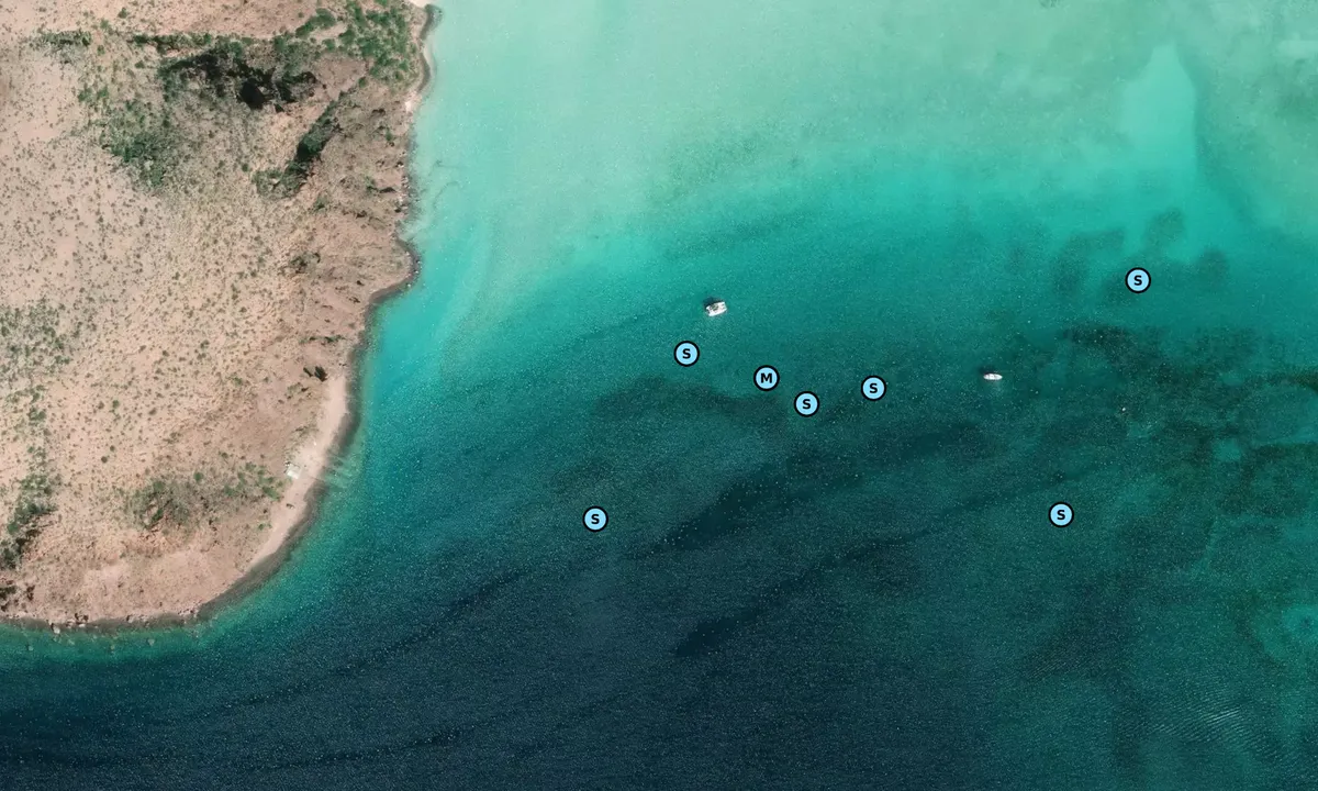 Satelite image of Carleta Partida