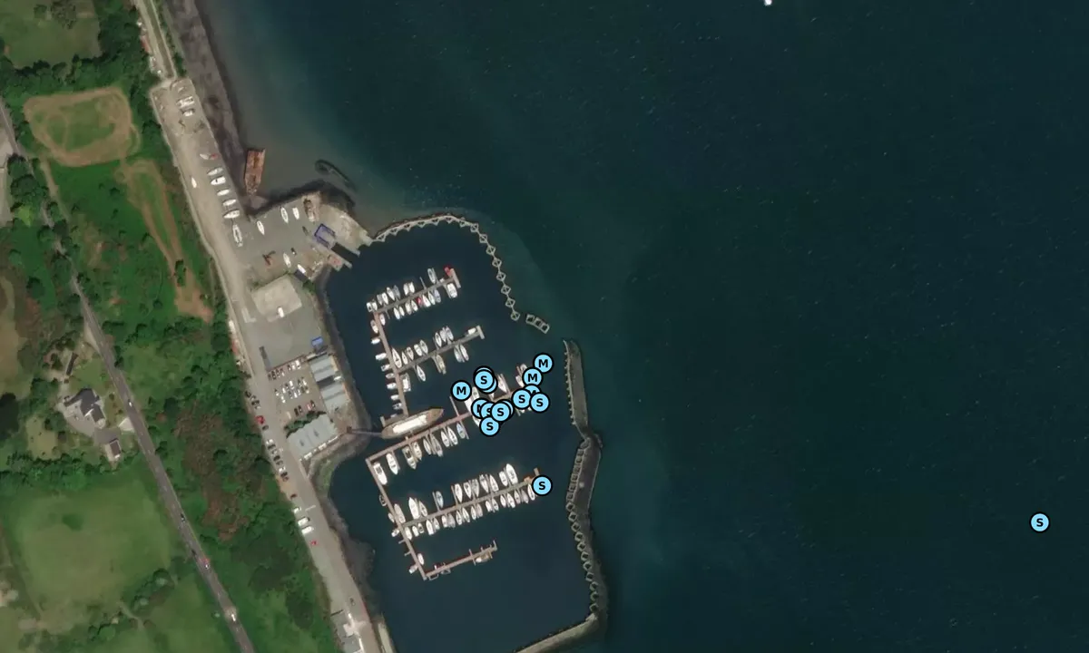 Satelite image of Carlingford Marina - County Louth