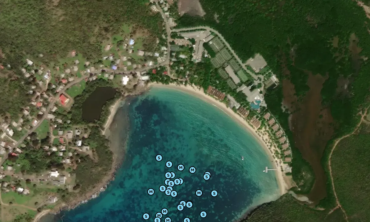 Satelite image of Carlisle Bay - Old Road