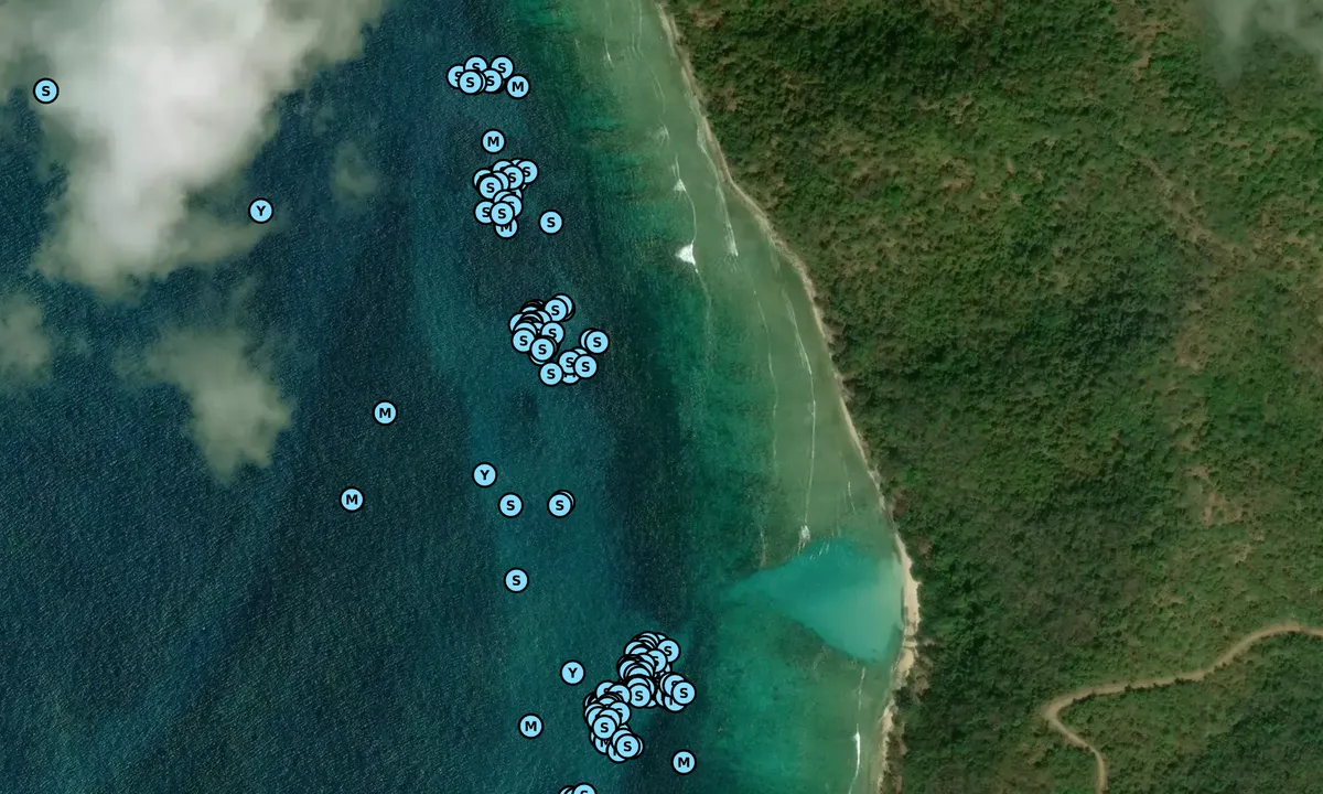 Satelite image of Carlos Rosarion Beach (moorings)