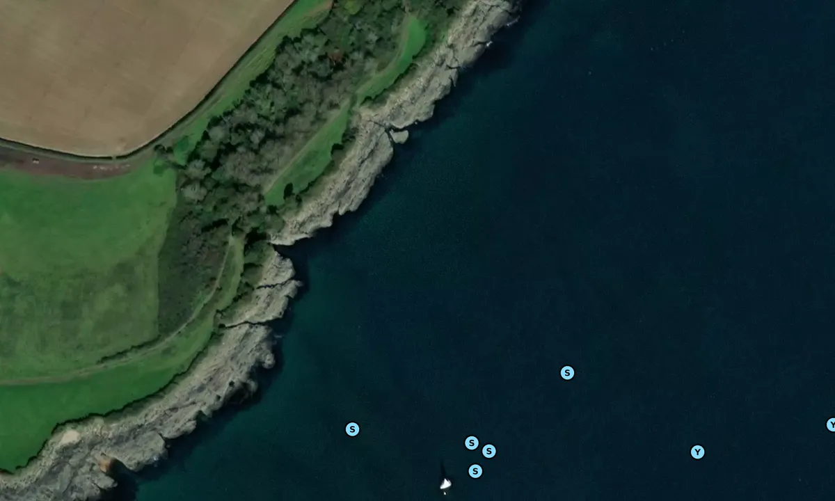 Satelite image of Carrick Roads