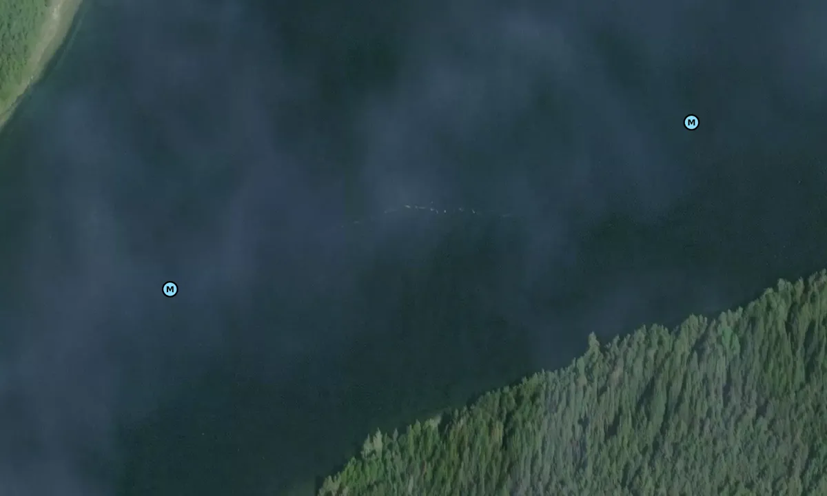 Satelite image of Carriden Bay