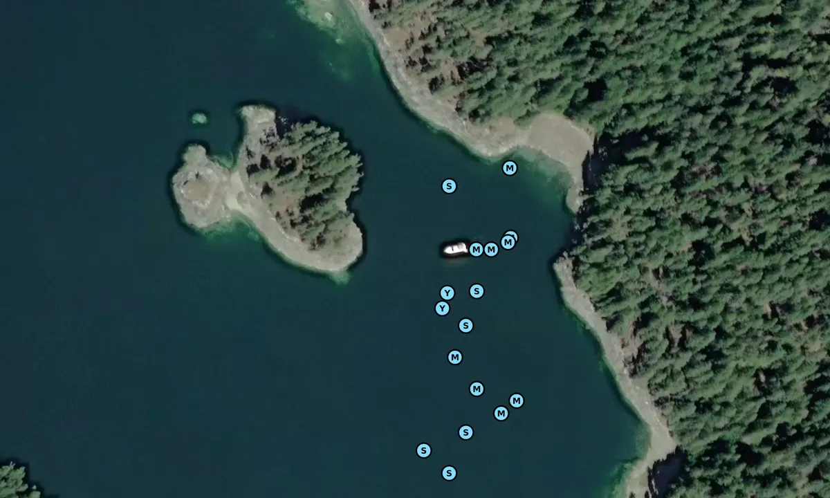 Satelite image of Carrington Bay