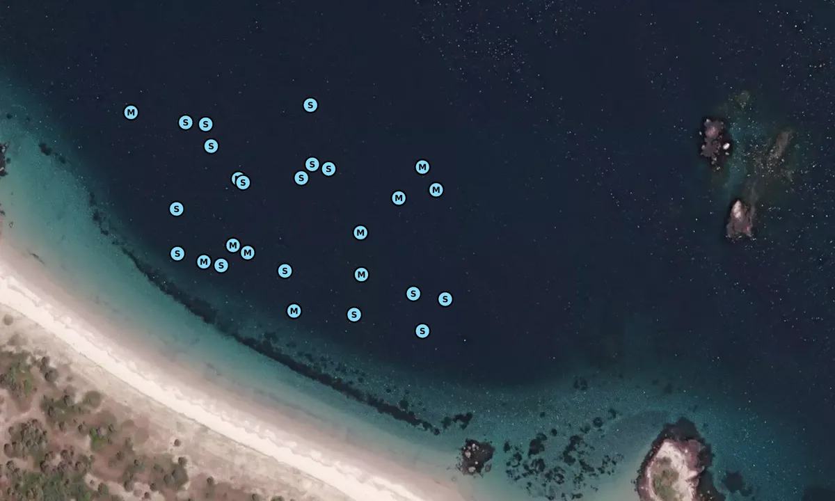 Satelite image of Carter's Beach