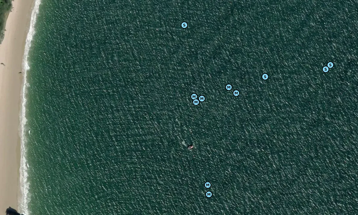 Satelite image of Castle Beach
