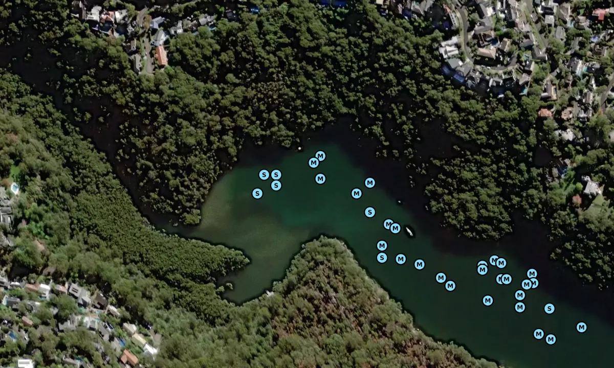 Satelite image of Castle Cove