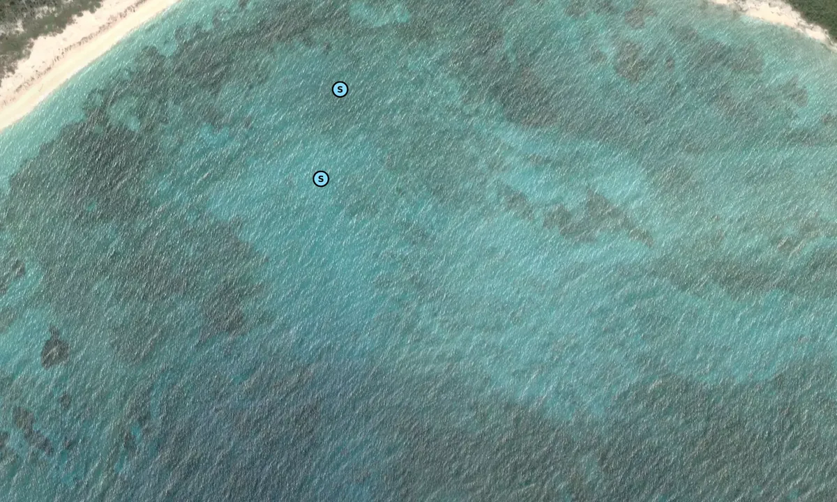 Satelite image of Castle Island - Salina Point Settlement