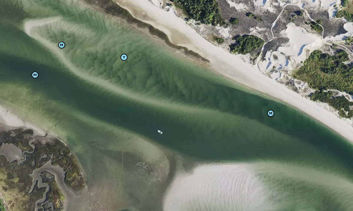 Satelite image of Castle Neck River
