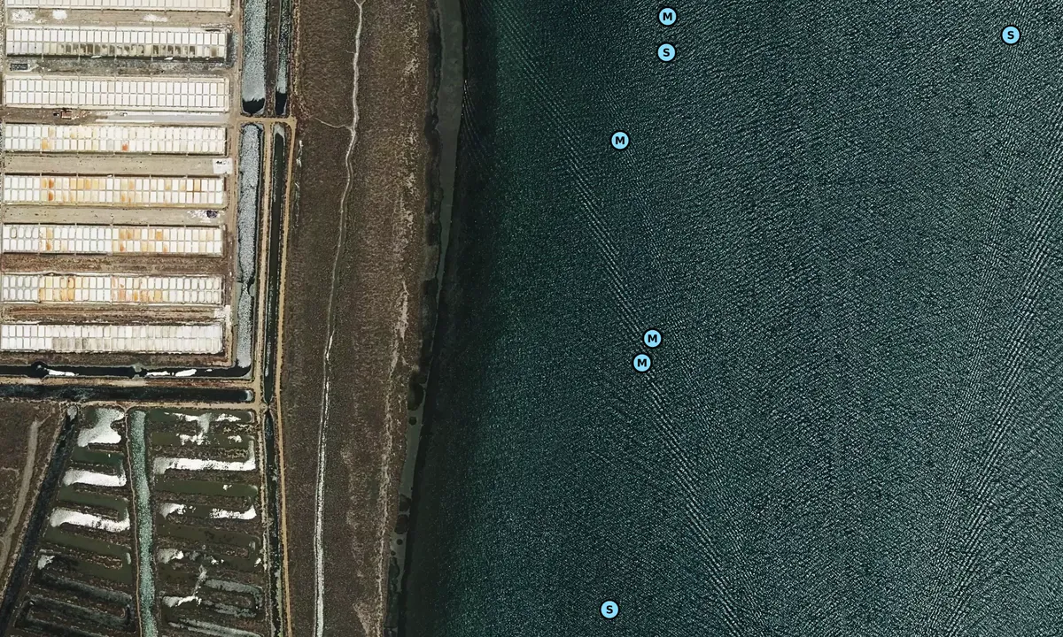 Satelite image of Castro Marim